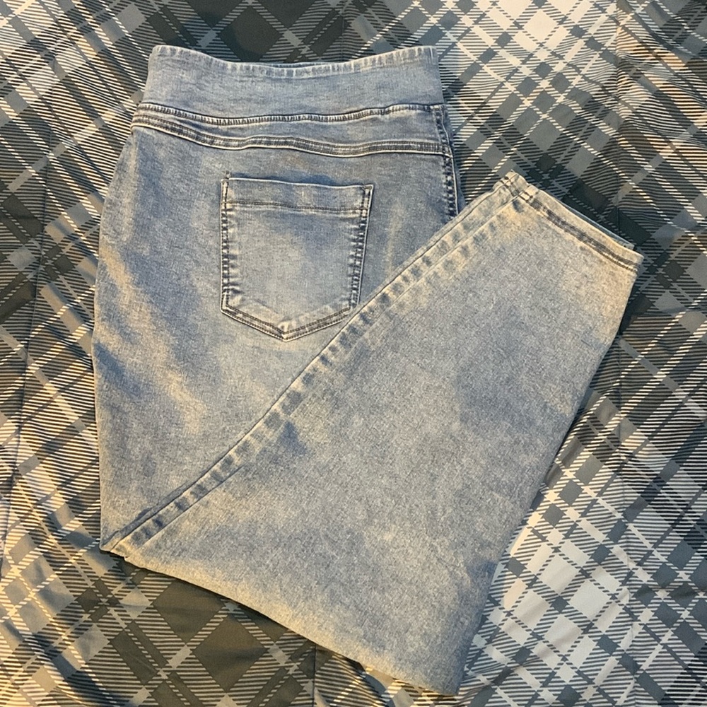 Terra & Sky Jeggings 3x (24/26W)
